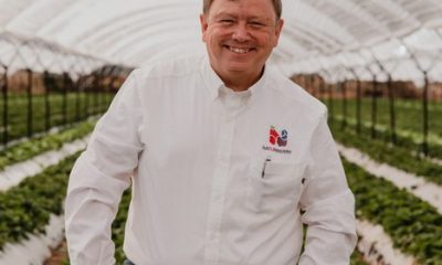 José Luis Bustamante, presidente de la Asociación Nacional de Exportadores de Berries de México (Aneberries).