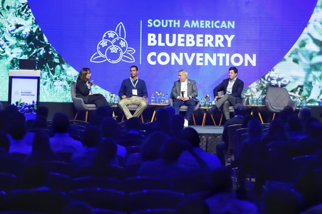 South American Blueberry Convention