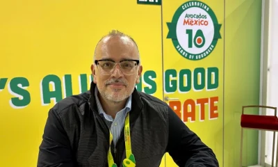 Alvaro Luque, presidente y CEO de Avocados From Mexico