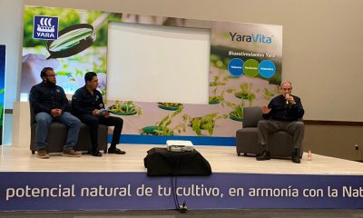 Ingeniero Jesús Miranda, Dr. Jorge Flores y Dr.Adalberto Benavides