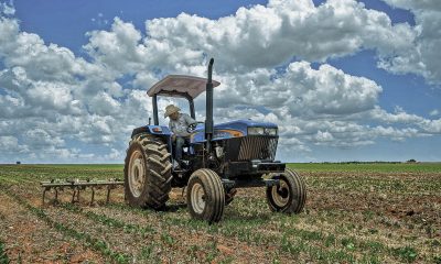 Foro Internacional Agroindustrial destaca el potencial de exportación del sector agropecuario mexicano
