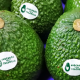 Aguacates de Colombia