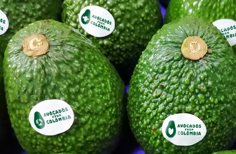 Aguacates de Colombia
