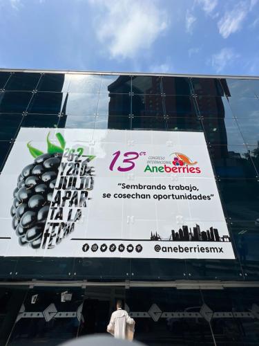 13 Congreso Internacional Aneberries