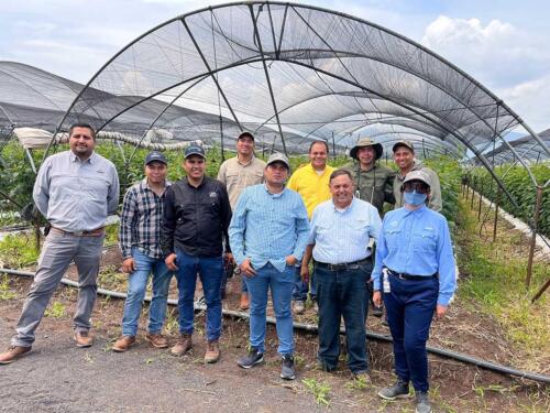 Visita a Campo