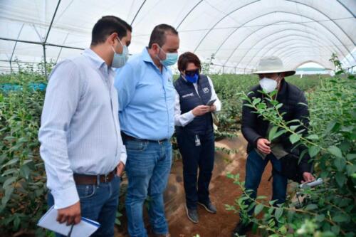 Visita a Campo